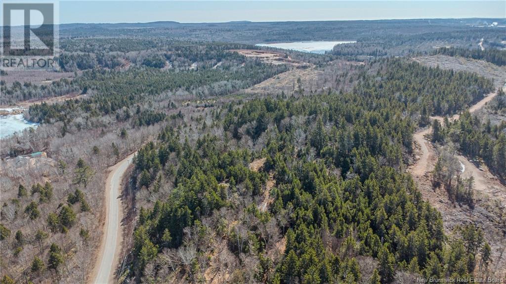 Lot Bluff Road, Utopia, New Brunswick  E5C 2L4 - Photo 11 - NB115677